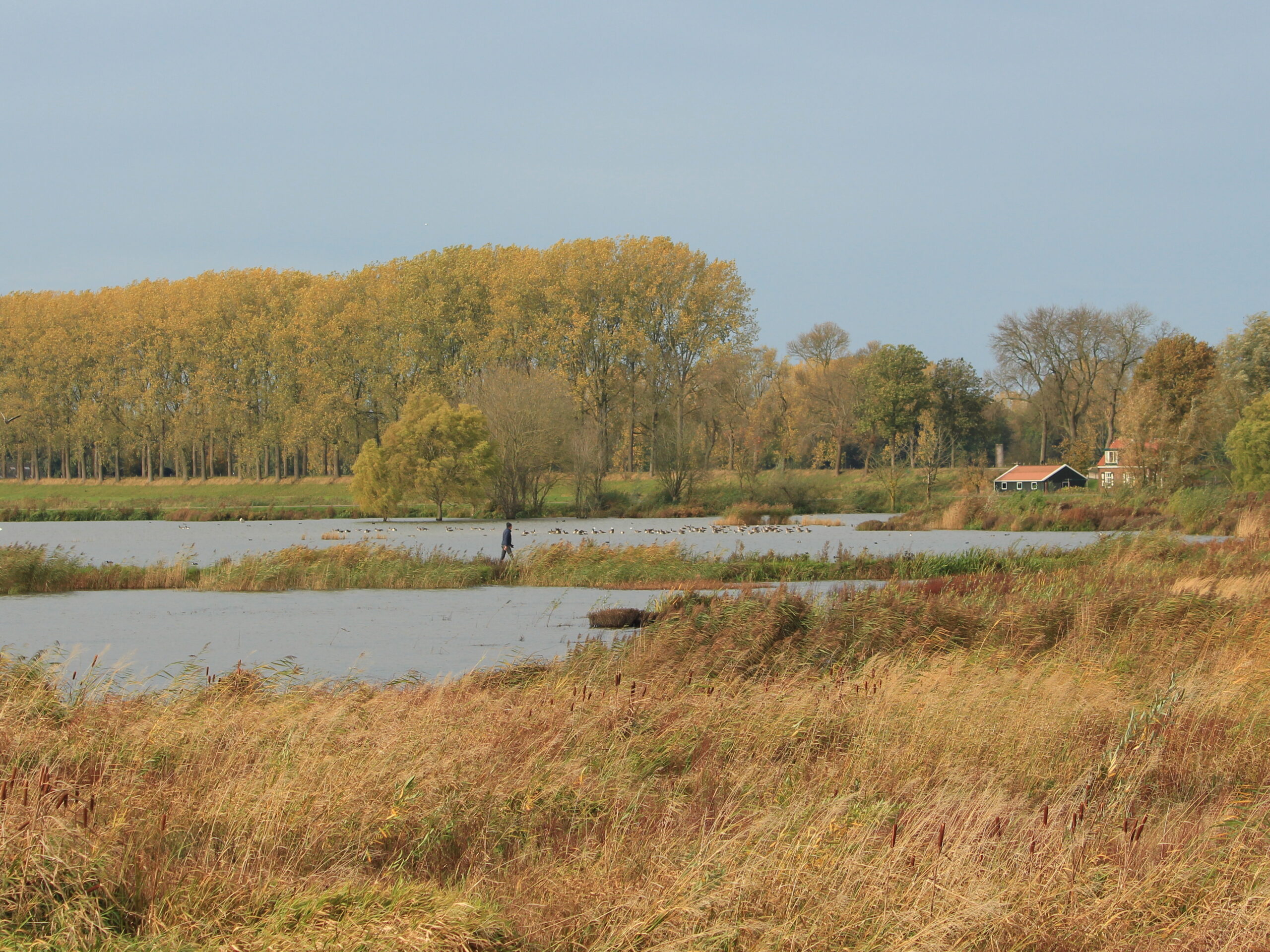  Nivon Drechtsteden 