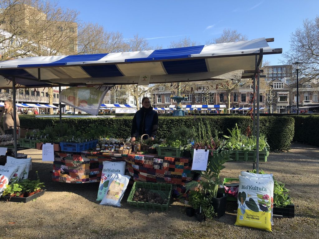 Bijenmarkt en Dordt pakt uit
