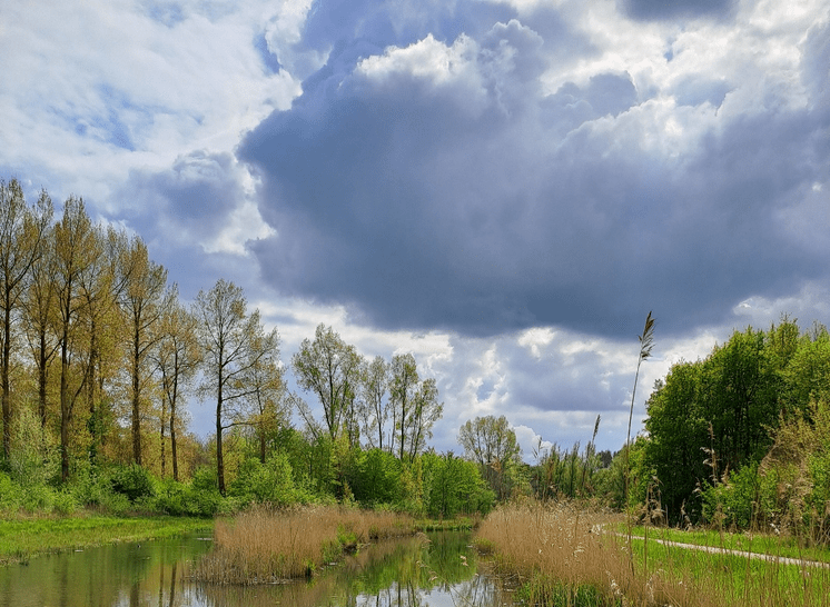 De wereld van het weer